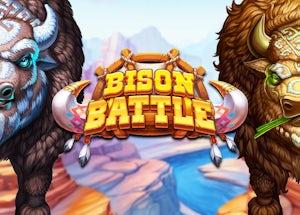 bison battle