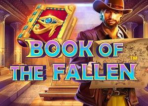 book of the fallen
