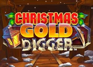 christmas gold digger
