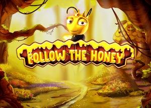 follow the honey