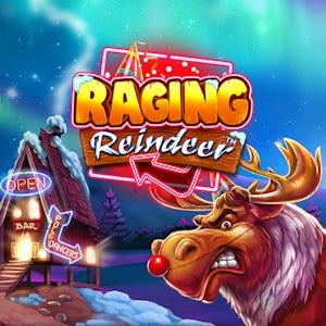 raging reindeer