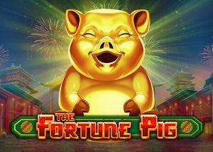 the fortune pig