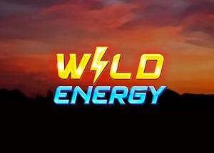 wild energy